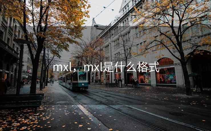 mxl，mxl是什么格式