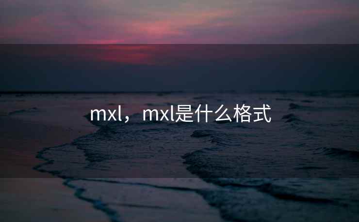 mxl,mxl是什么格式 mxl,mxl是什么格式