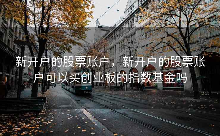 新开户的股票账户，新开户的股票账户可以买创业板的指数基金吗