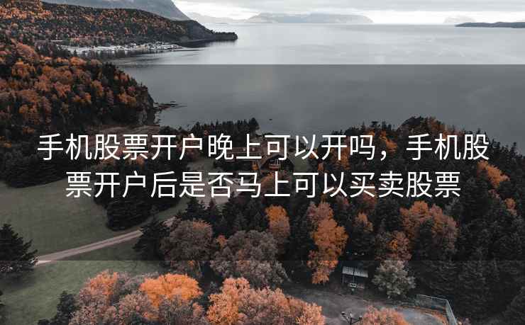 手机股票开户晚上可以开吗，手机股票开户后是否马上可以买卖股票
