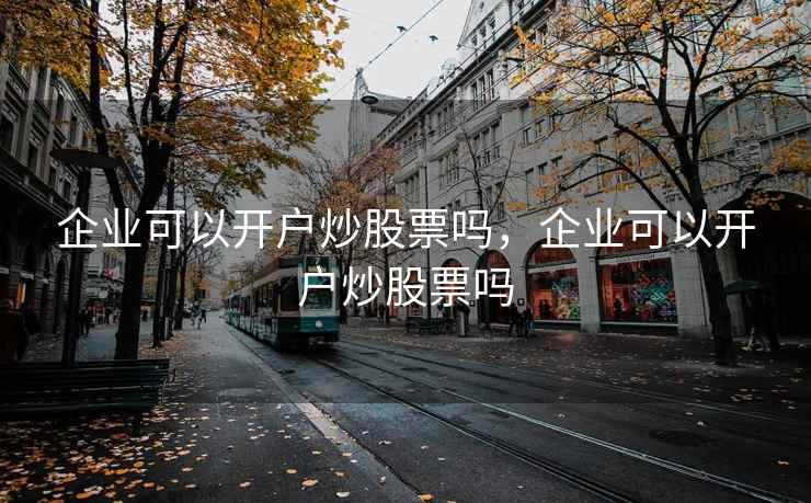 企业可以开户炒股票吗，企业可以开户炒股票吗