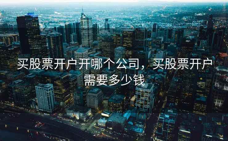 买股票开户开哪个公司，买股票开户需要多少钱