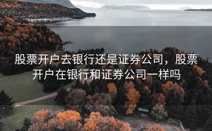 股票开户去银行还是证券公司，股票开户在银行和证券公司一样吗