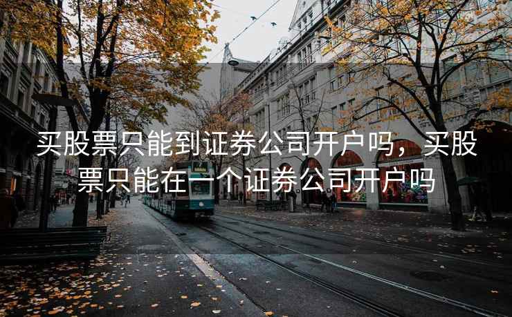 买股票只能到证券公司开户吗，买股票只能在一个证券公司开户吗