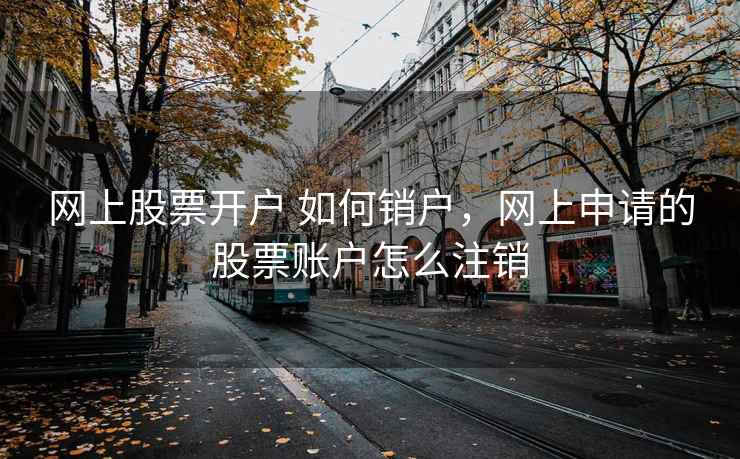网上股票开户 如何销户，网上申请的股票账户怎么注销