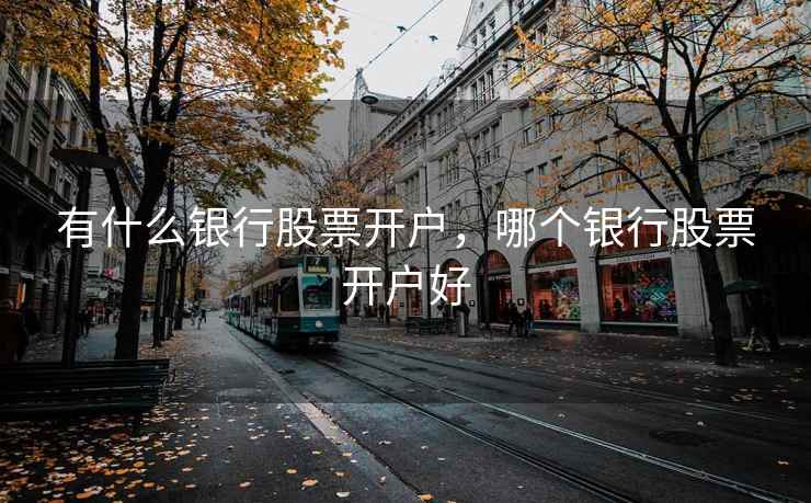 有什么银行股票开户，哪个银行股票开户好