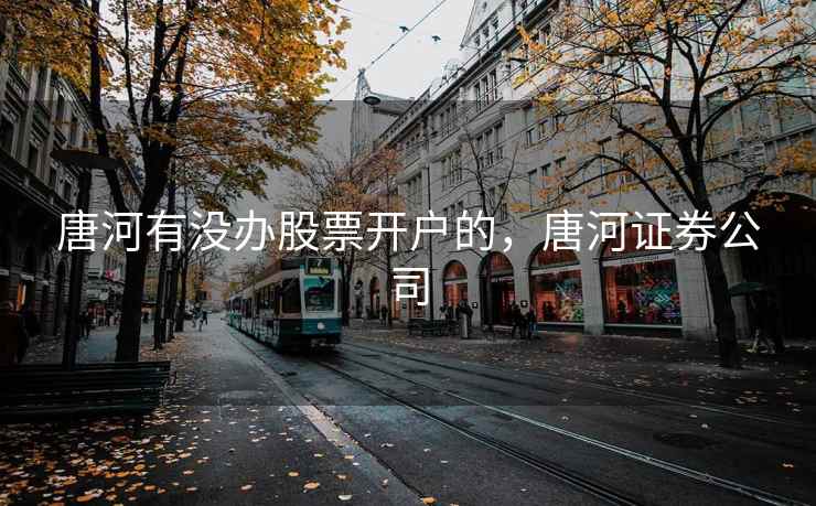唐河有没办股票开户的，唐河证券公司