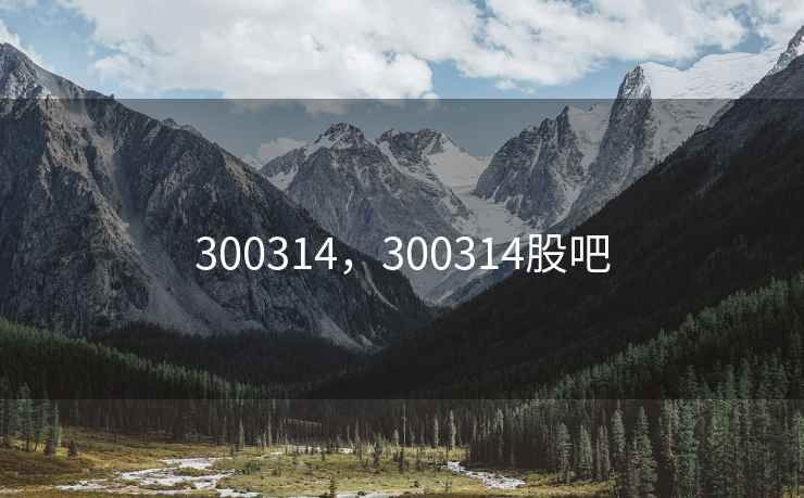300314，300314股吧
