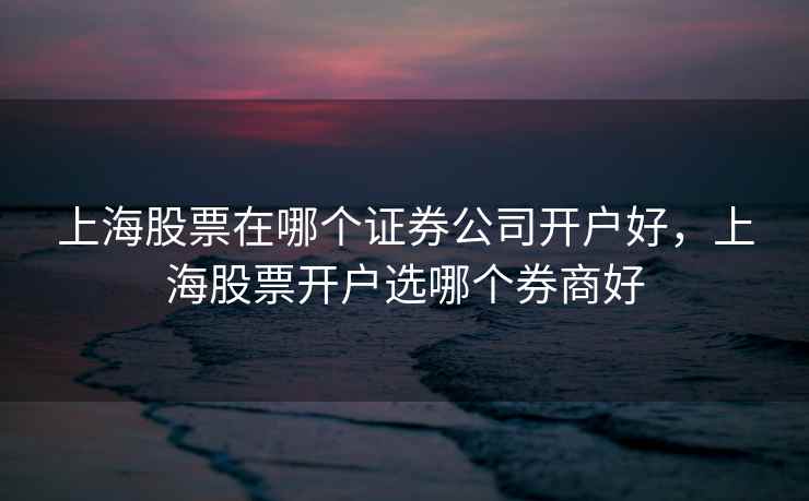 上海股票在哪个证券公司开户好，上海股票开户选哪个券商好
