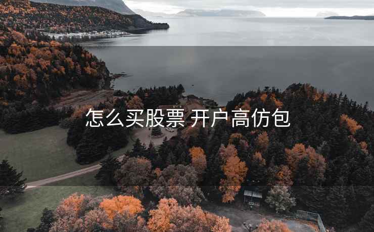 怎么买股票 开户高仿包 怎么买股票 开户高仿包