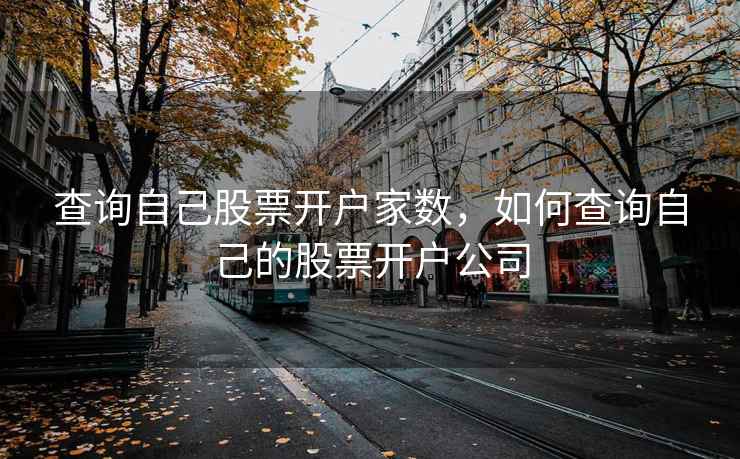 查询自己股票开户家数，如何查询自己的股票开户公司