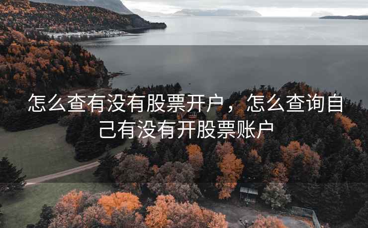 怎么查有没有股票开户，怎么查询自己有没有开股票账户