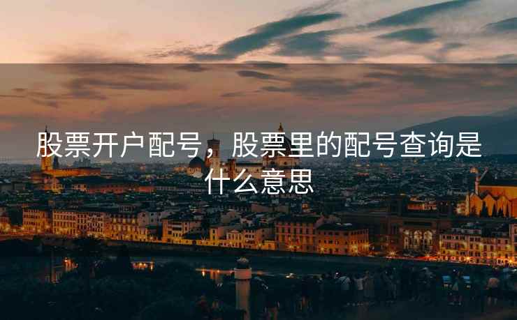 股票开户配号，股票里的配号查询是什么意思