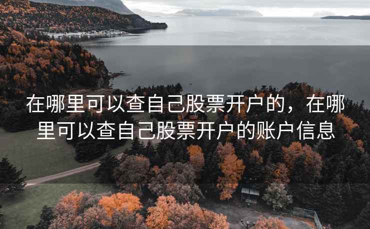 在哪里可以查自己股票开户的，在哪里可以查自己股票开户的账户信息