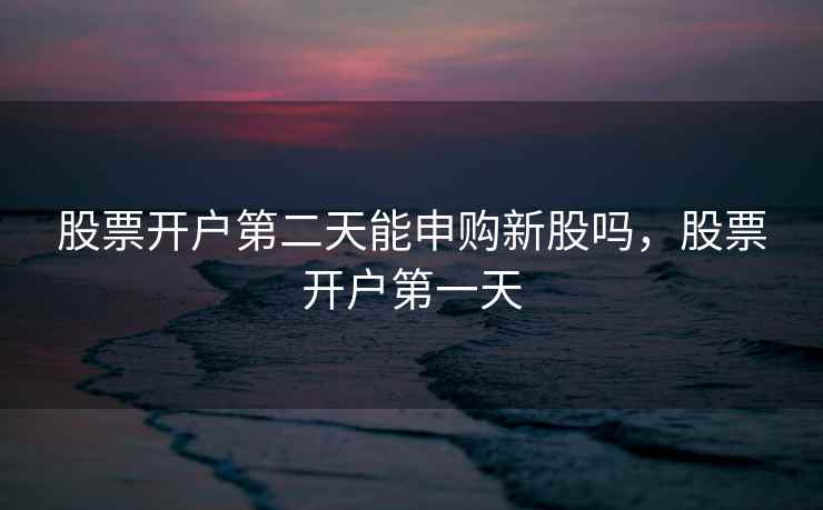 股票开户第二天能申购新股吗，股票开户第一天