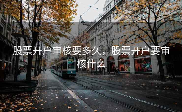 股票开户审核要多久，股票开户要审核什么