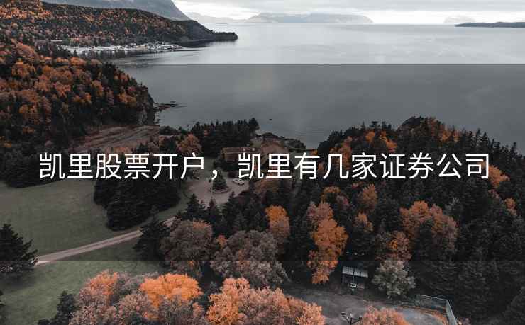 凯里股票开户，凯里有几家证券公司