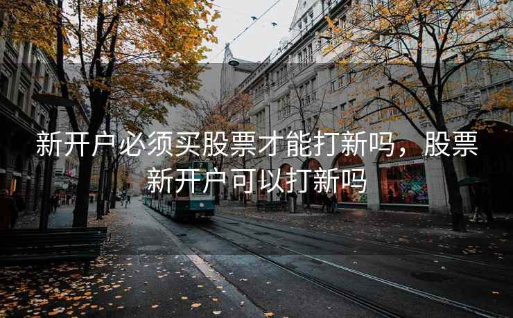 新开户必须买股票才能打新吗，股票新开户可以打新吗