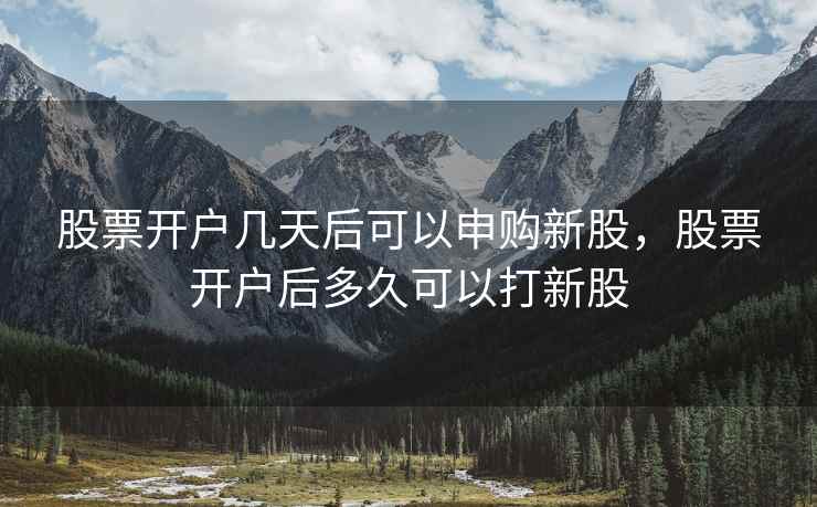 股票开户几天后可以申购新股，股票开户后多久可以打新股