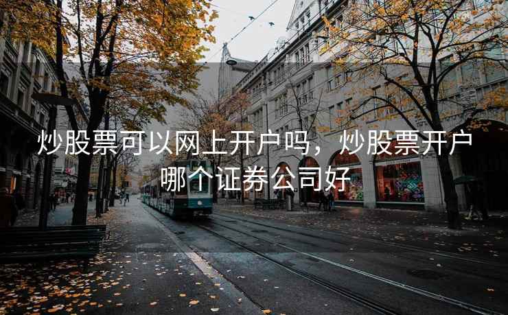 炒股票可以网上开户吗，炒股票开户哪个证券公司好