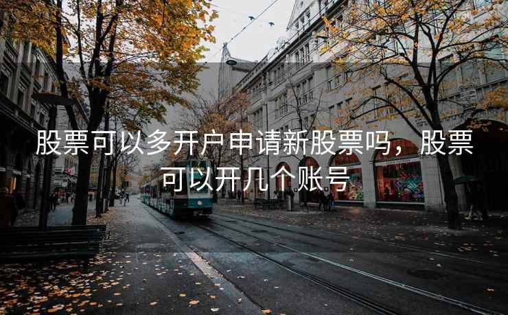 股票可以多开户申请新股票吗，股票可以开几个账号