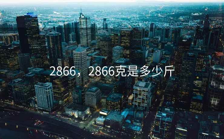 2866，2866克是多少斤