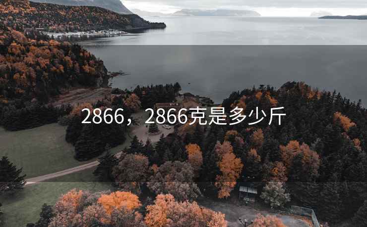 2866，2866克是多少斤