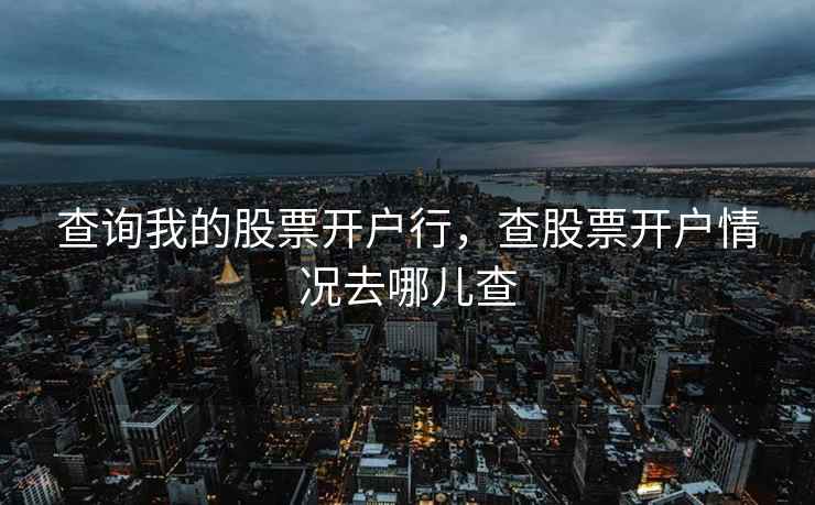 查询我的股票开户行，查股票开户情况去哪儿查